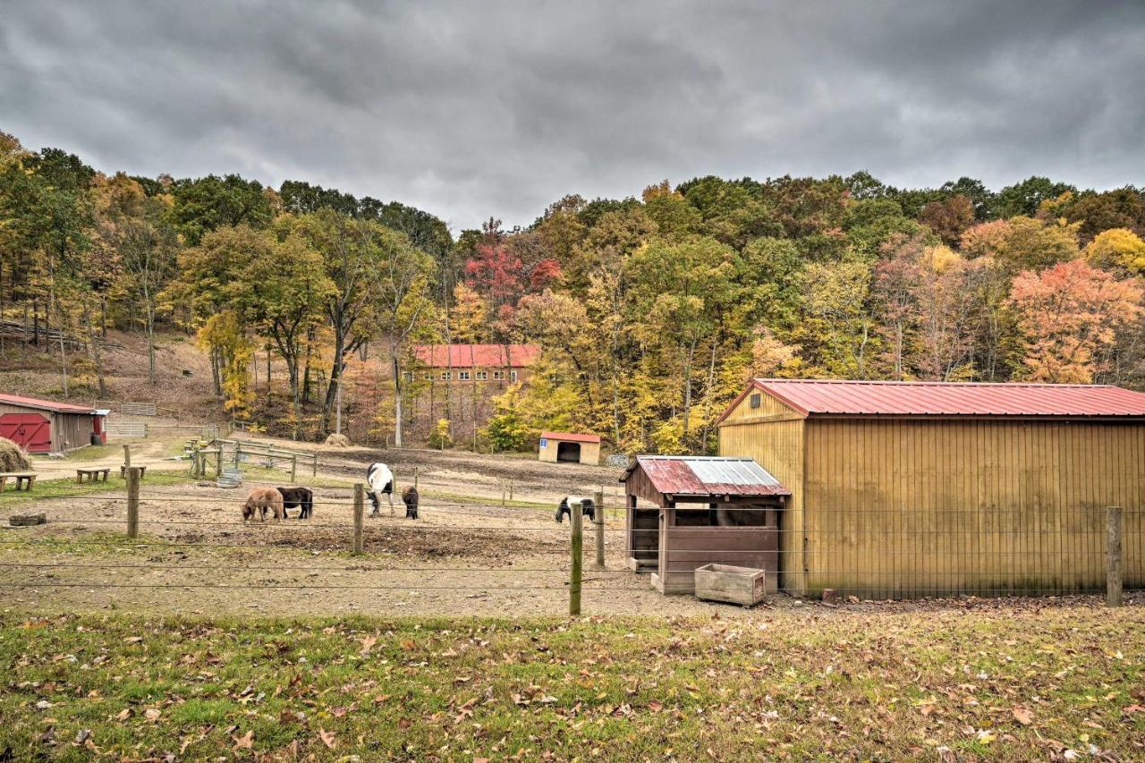 Cheyenne Ranch Apt With 50 Acres By Raystown Lake Huntingdon Eksteriør billede