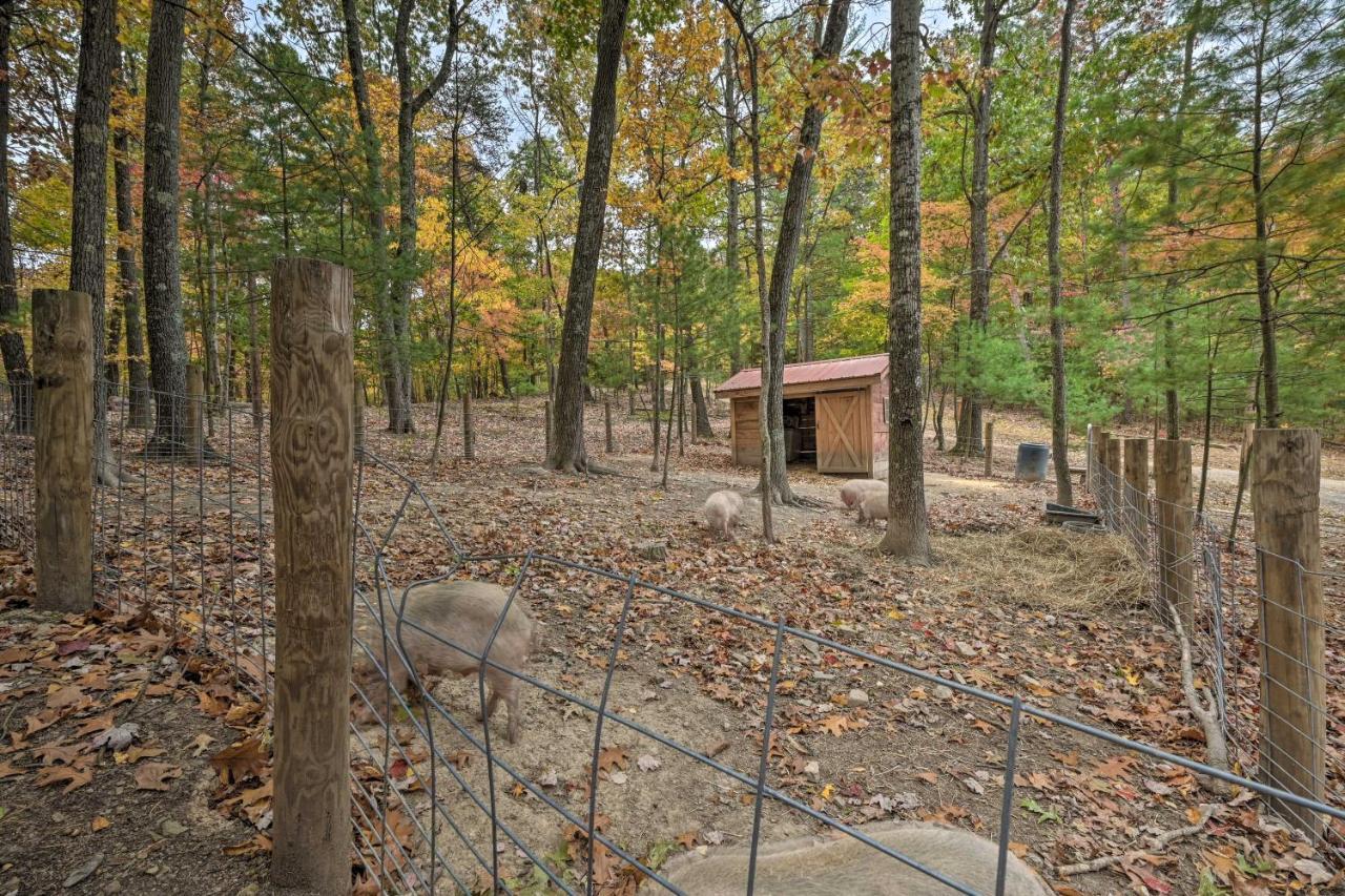 Cheyenne Ranch Apt With 50 Acres By Raystown Lake Huntingdon Eksteriør billede